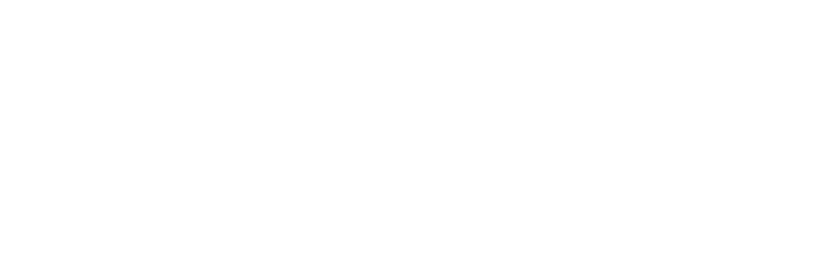 フレーバー物理学国際研究センター FlaP